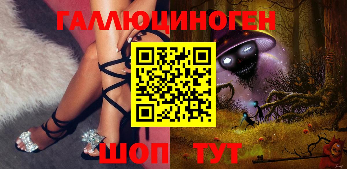 Псилоцибиновые грибы Psilocybe  Вход с VPN  Большой Камень 